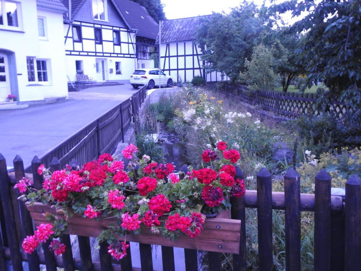 Ferienwohnung Bergblick Medebach Exterior foto